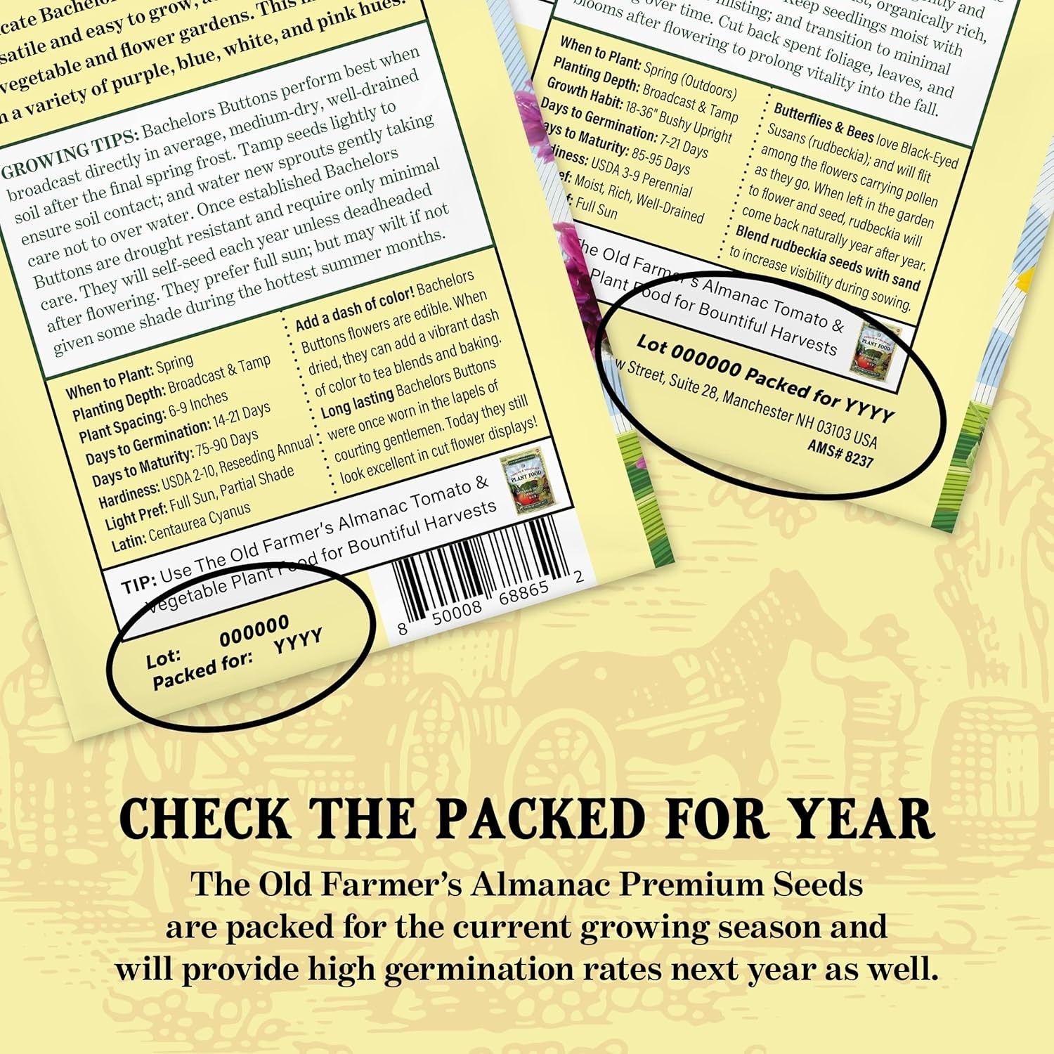 Bachelors Buttons Seeds – 500 Non-GMO Flower Seeds for Vibrant Blooms