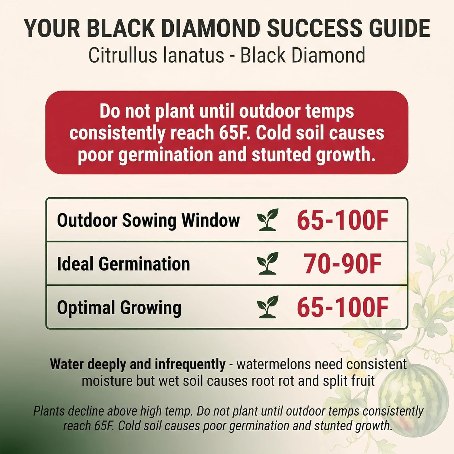 50 Black Diamond Watermelon Seeds for Planting – Heirloom Non-Gmo Fruit Seeds fo
