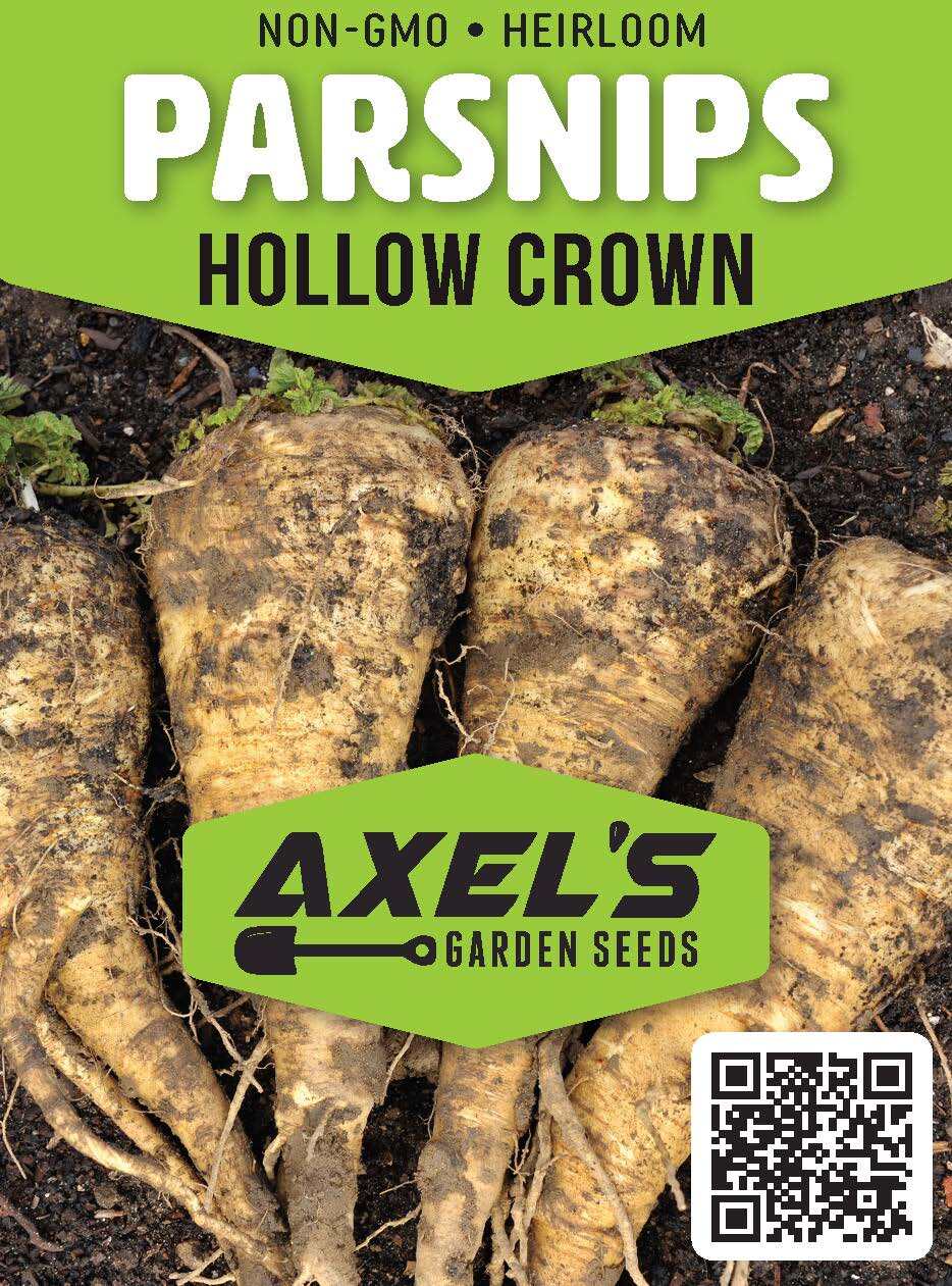 Hollow Crown Parsnip Seeds | Non-GMO | Heirloom | Fresh Garden Seeds