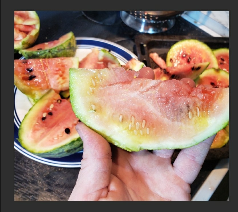 Rainbow Watermelon Seeds – Multi Colored Flesh – Sweet & Crisp Tropical Flavors!