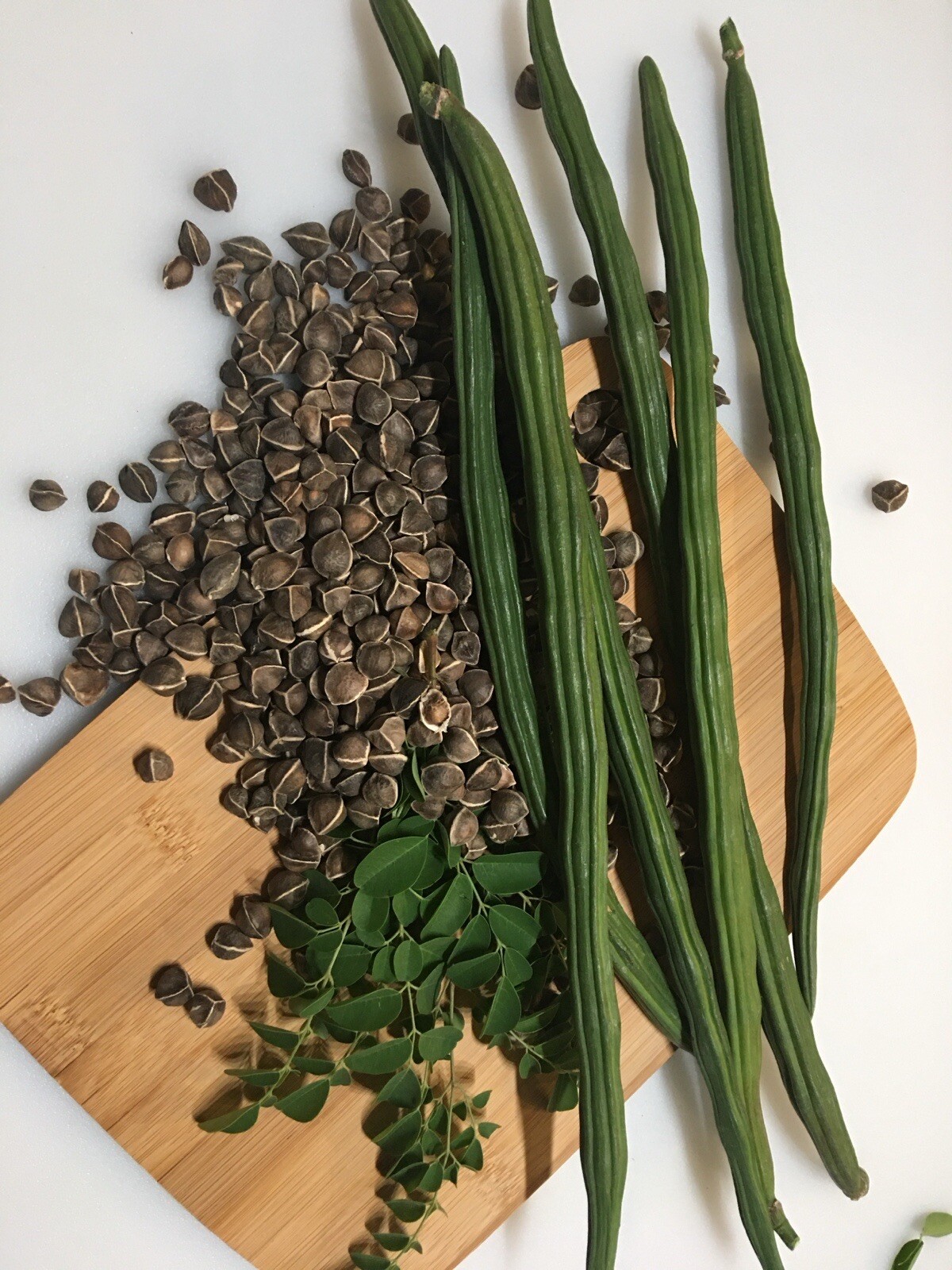 100+ SEEDS-Organic Malunggay/Moringa oleifera for planting US Grown