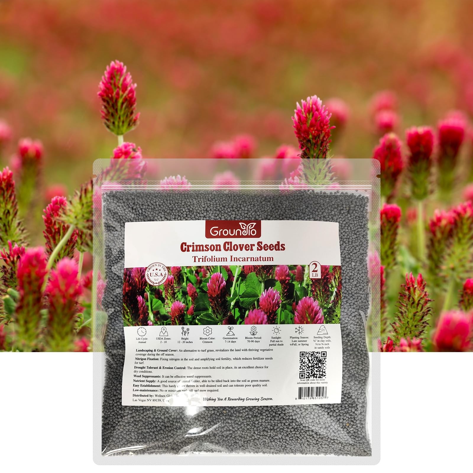 Annual Crimson Clover Seeds, 2 lbs, Trifolium Incarnatum Seeds for Lawn, Attr…
