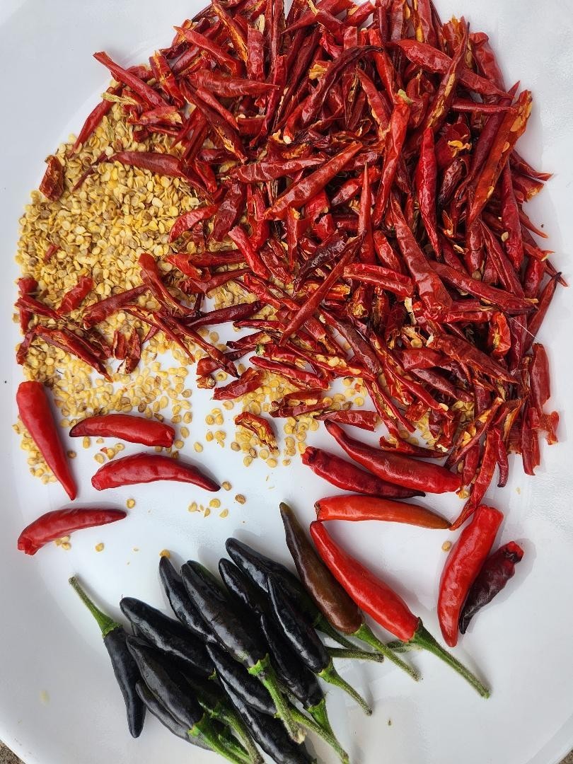 30 black pepper seeds