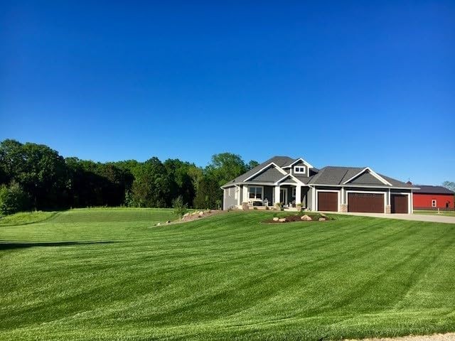 Premium Grass Seed Mix – Tall Fescue, Perennial Ryegrass & Kentucky Bluegrass, 1