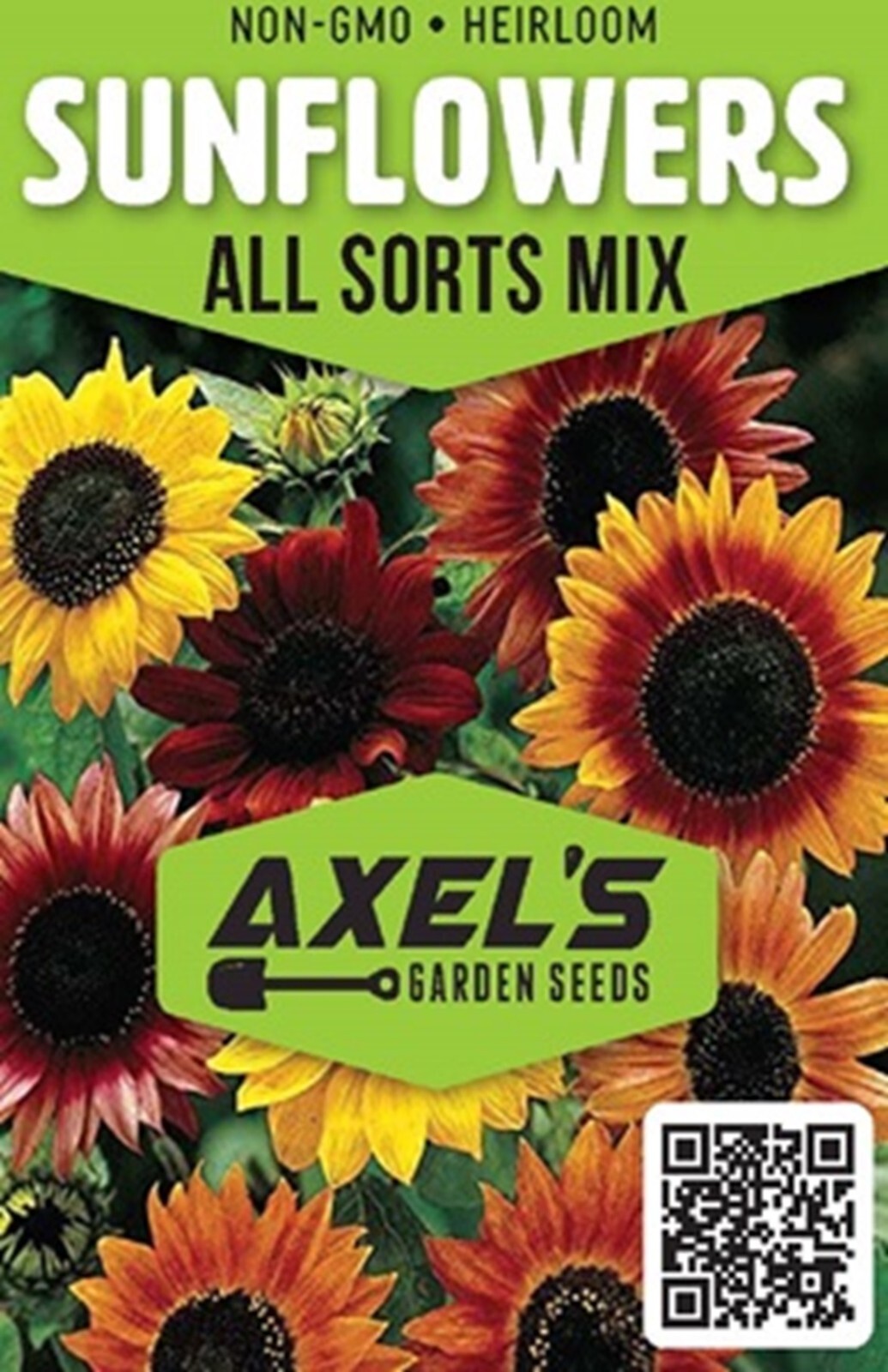 Bulk Sunflower Seeds Mix – Heirloom Non-Gmo Flower Seeds for Home Garden
