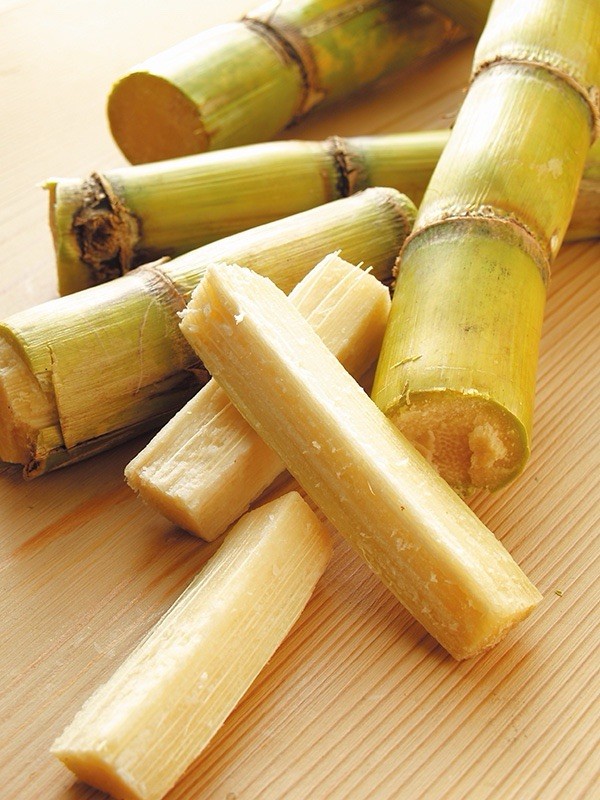 3pcs Rooted Sugarcane Cutting Ready To Plant Green Yellow Sugarcane Sweet Juicy
