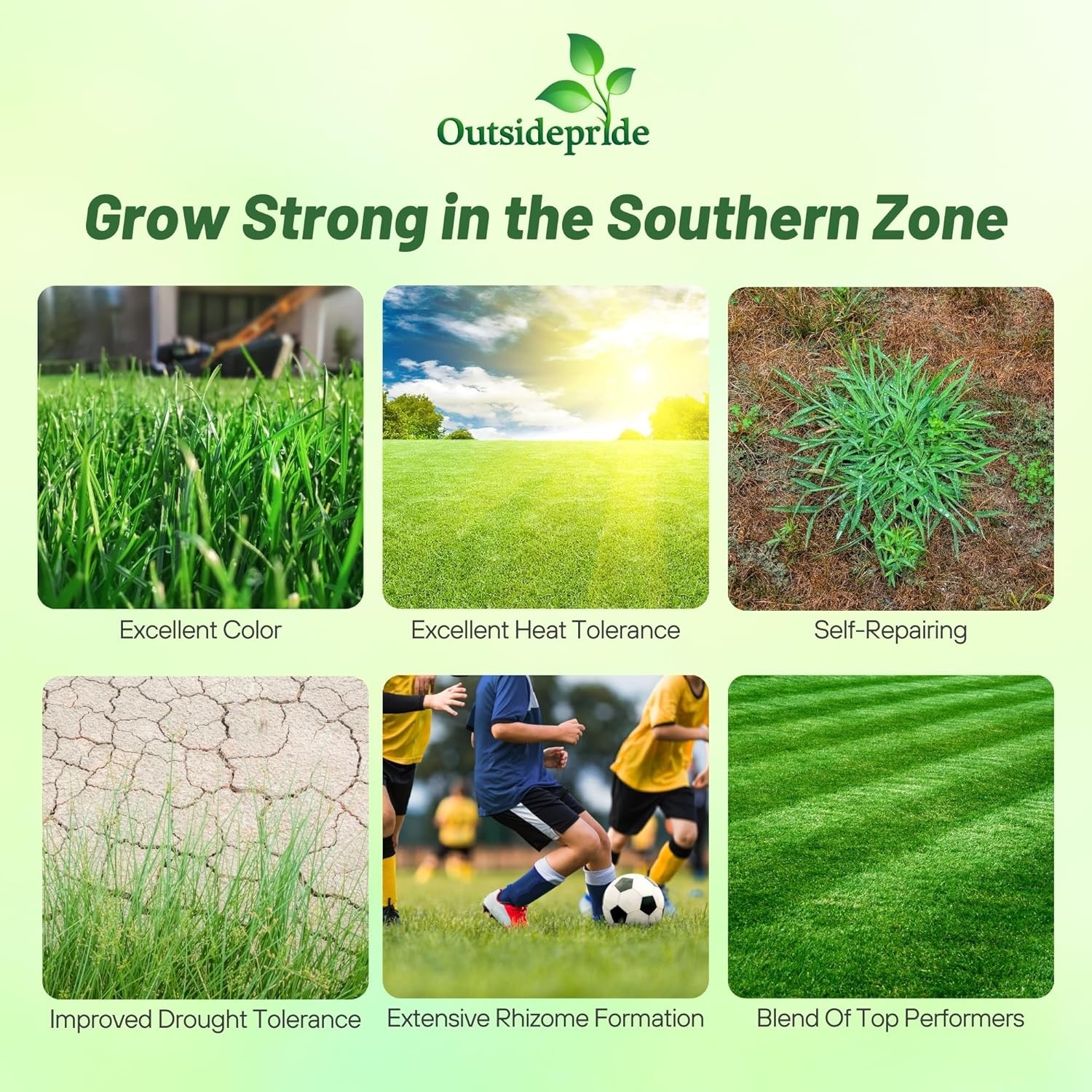 50 LBS – OptiGrowth Coated Combat Extreme&trade; Southern Zone Grass