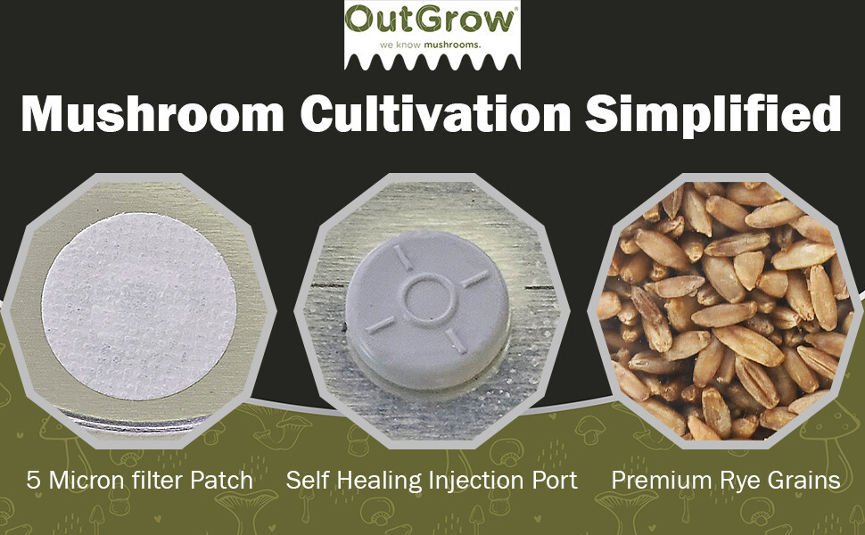 Sterilized Rye Grains for Mushroom Cultivation – Quart Jar with Injection Port