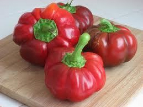 25 SWEET PIMENTO PEPPER SEEDS ~ heirloomseedguy ~ 2026 ~ NON-GMO