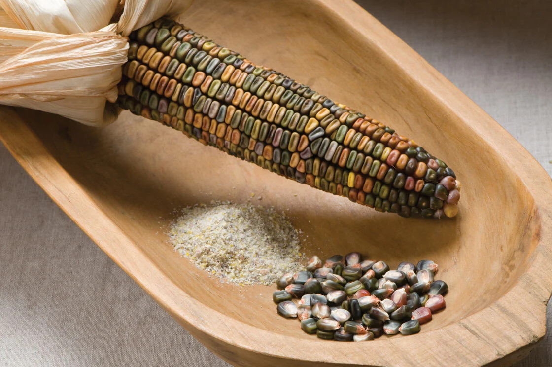 Earth Tones Ornamental Corn Seeds | Pastel Rainbow Glass Gem Popcorn Seed 2024