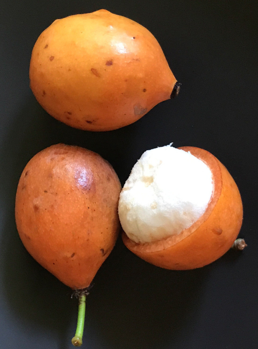Achachairu Garcinia Humilis Orange Bolivian Mangosteen Tropical Fruit Tree Plant