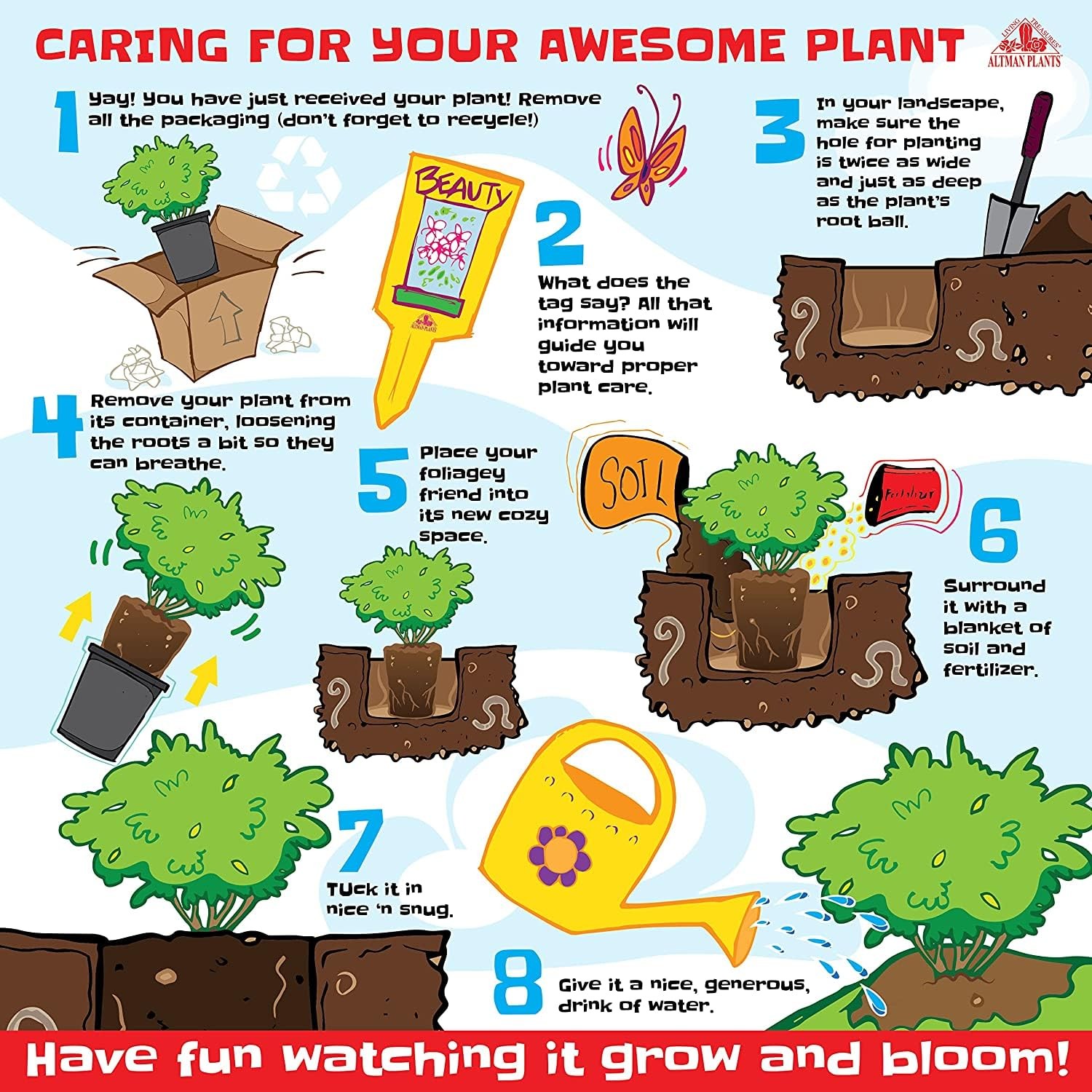 1G Silverado Sage Plant Shrubs Live In Planters For Outdoor Plants Live Live