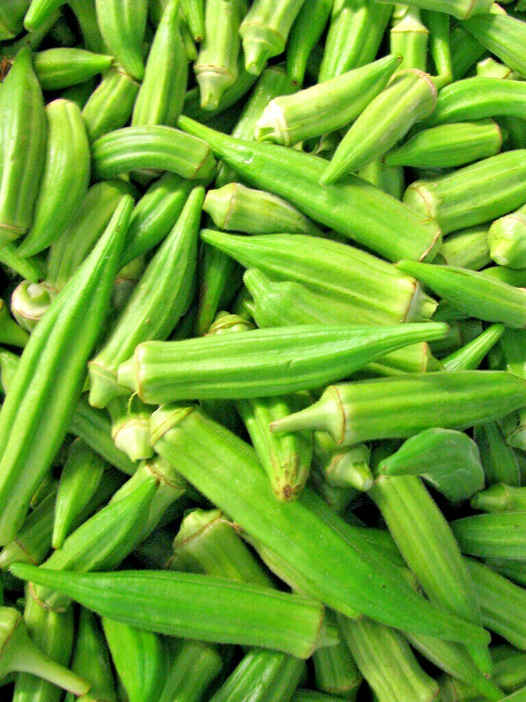 300 SEEDS OKRA CLEMSON GARDEN VEGETABLE HEIRLOOM ALL-AMERICAN WINNER NON-GMO USA