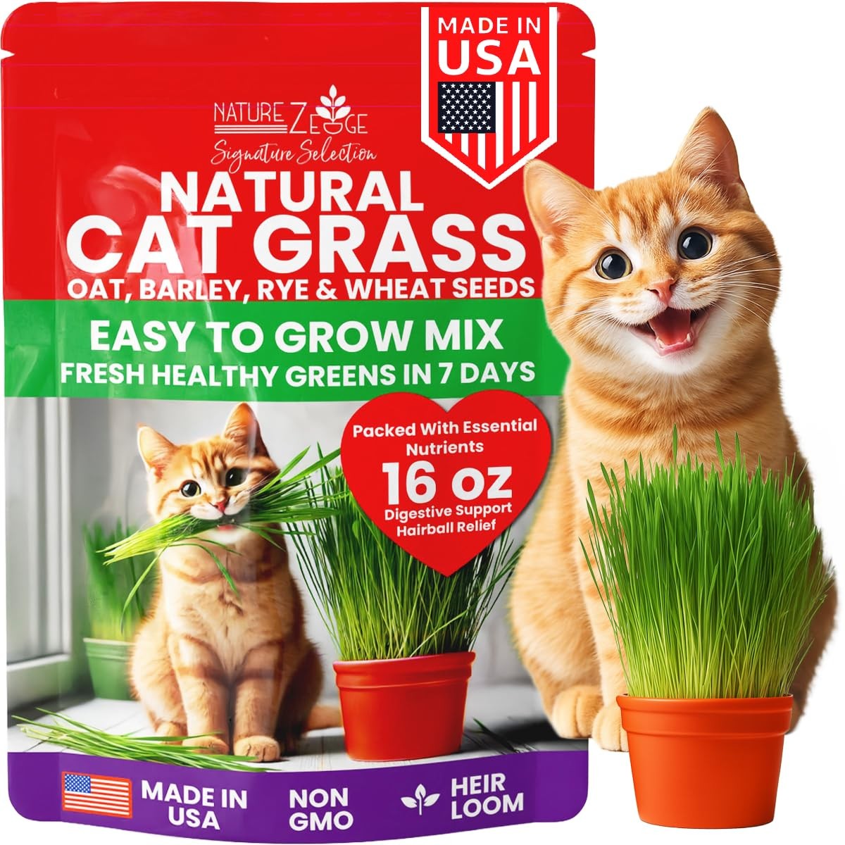 Premium Cat Grass Seeds for Indoor Cats, Non GMO – 1 lb Oat, Wheat, Barley & …