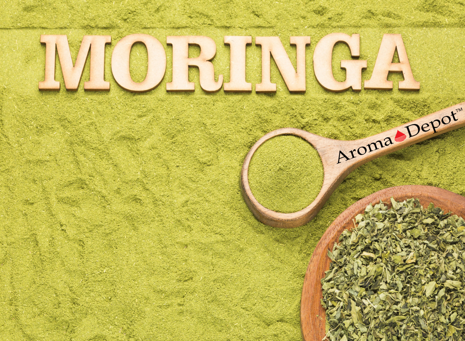 Moringa KERNELS 2 oz. Seeds oleifera Shelled 250 Semilla De Moringa Wholesale