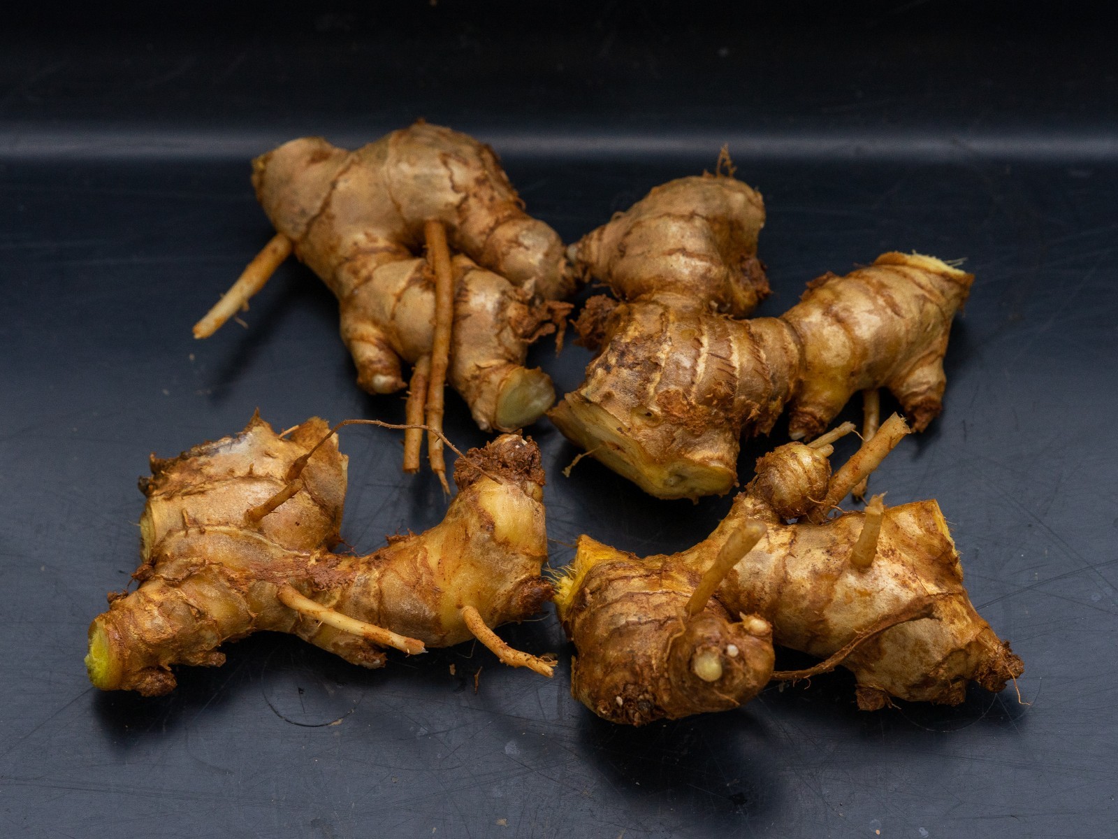 2 Shampoo Ginger Rhizomes (Zingiber Zerumbet) Awapuhi Kuahiwi for planting