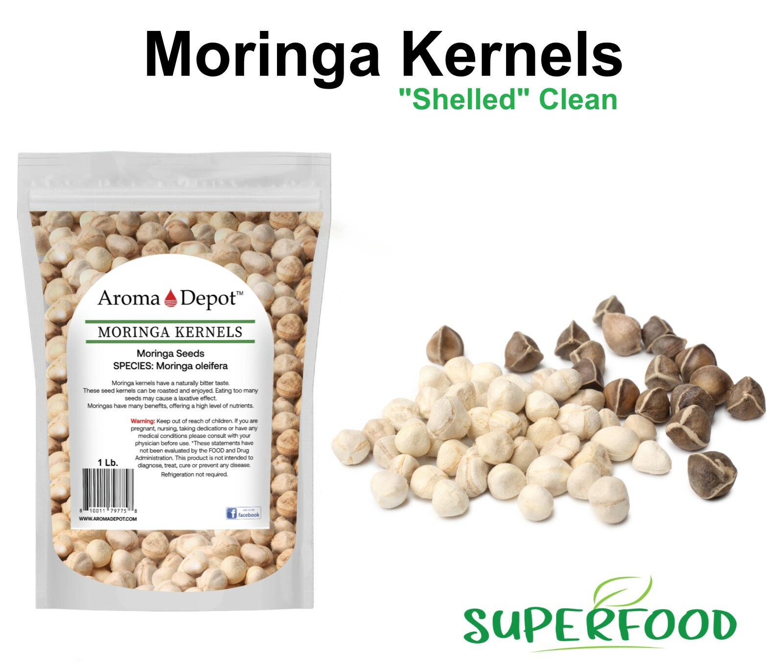 Moringa KERNEL Wholesale Granos de Semillas de Moringa oleifera Malunggay Seeds