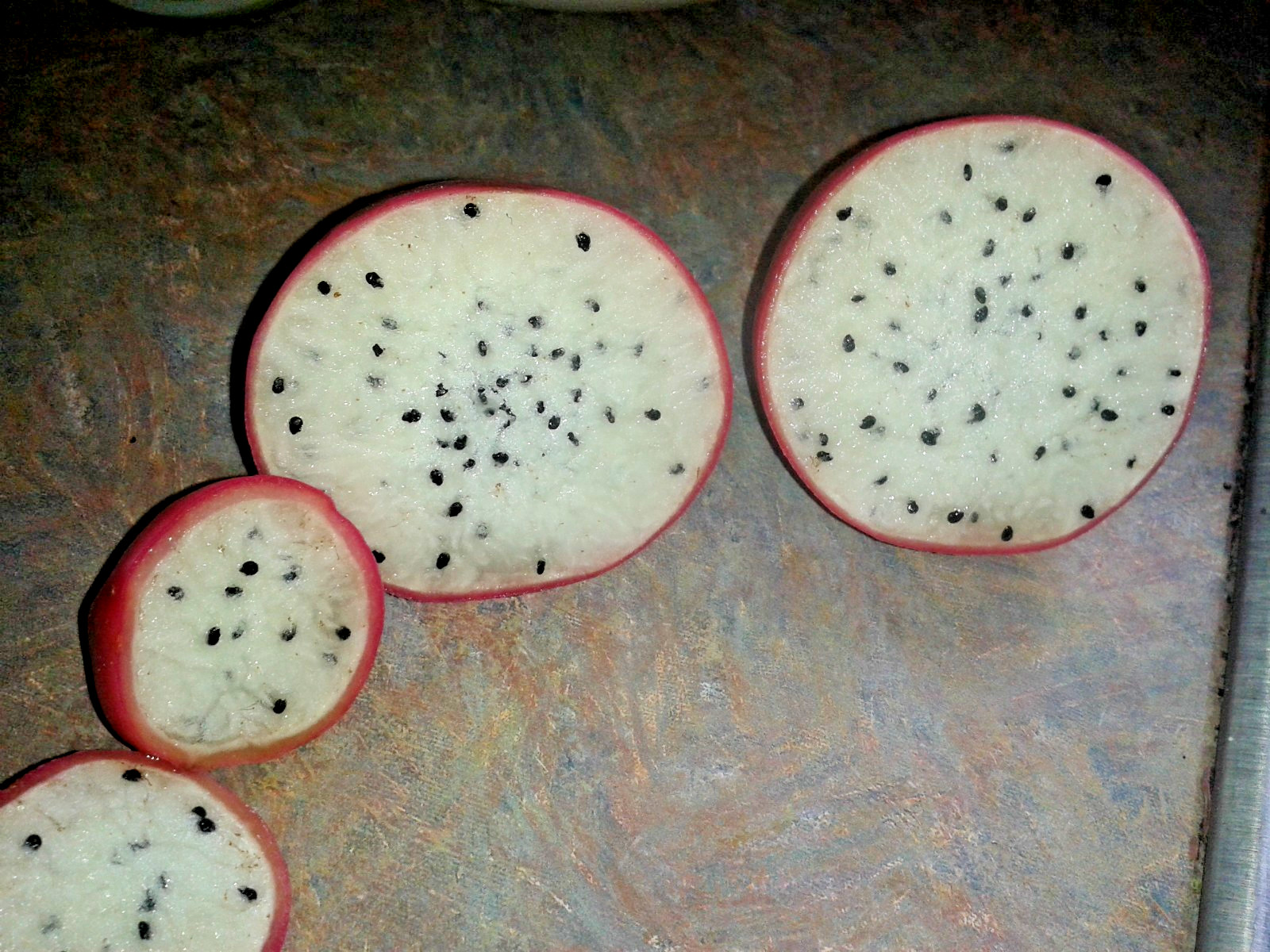 RARE Peach Apple Cactus! Taste Amazing! Cold tolerant, productive! MUST GROW!