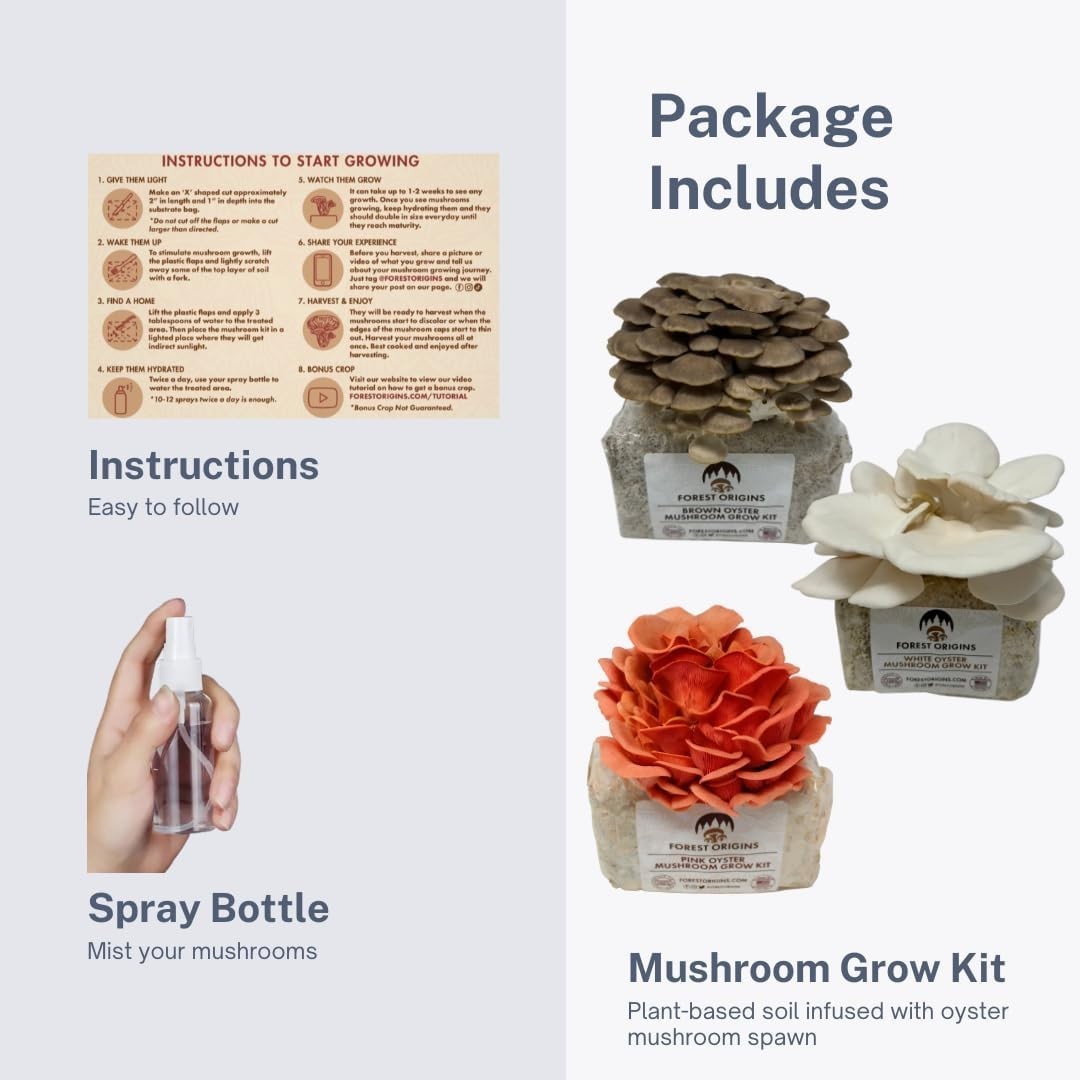Mushroom Grow Kit – 3-Pack Pink, Brown, White Oyster for Home Gourmets