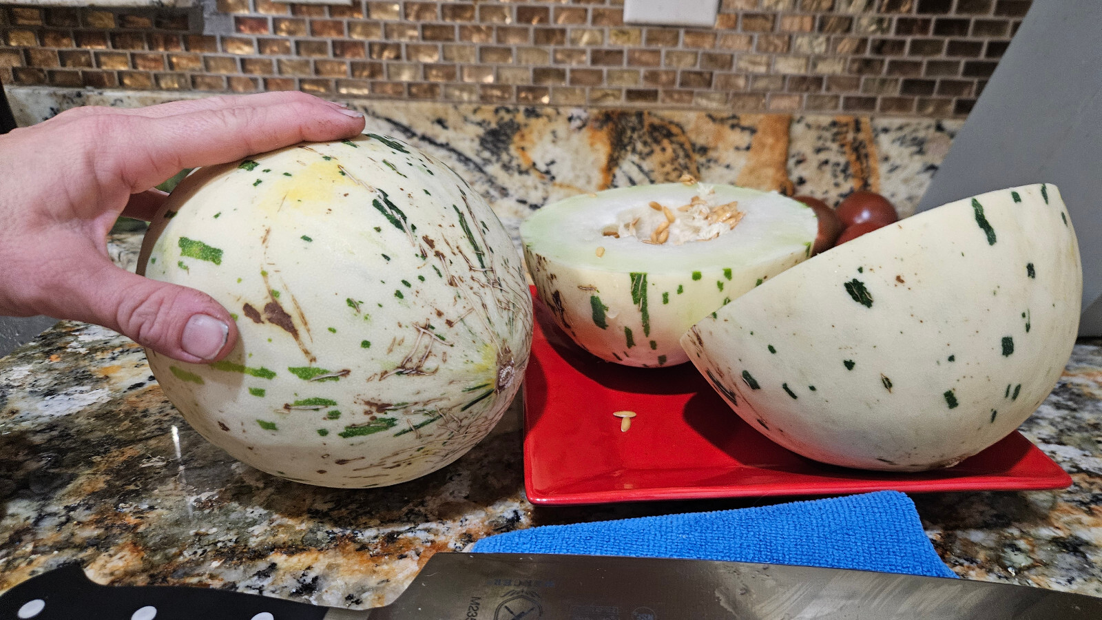 DYNO MELON Seeds (25) / DINOSAUR EGG MELON / HONDURAS / SUPER RARE FRUIT