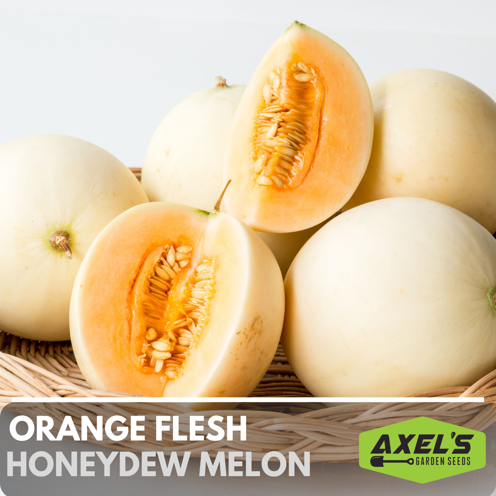 Orange Flesh Honeydew Melon Heirloom Non-GMO Seeds