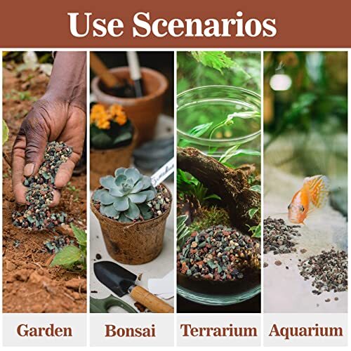 Succulent Rocks Bonsai Mix Succulent Potting Mix Lava Rocks Cactus Potting Mix