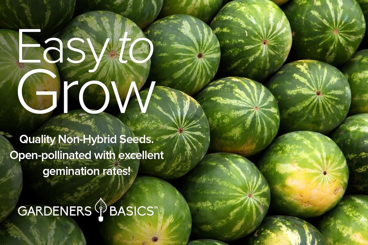 Home Garden Melon Collection: 5 Heirloom Seeds for Sweet Summer Fruits
