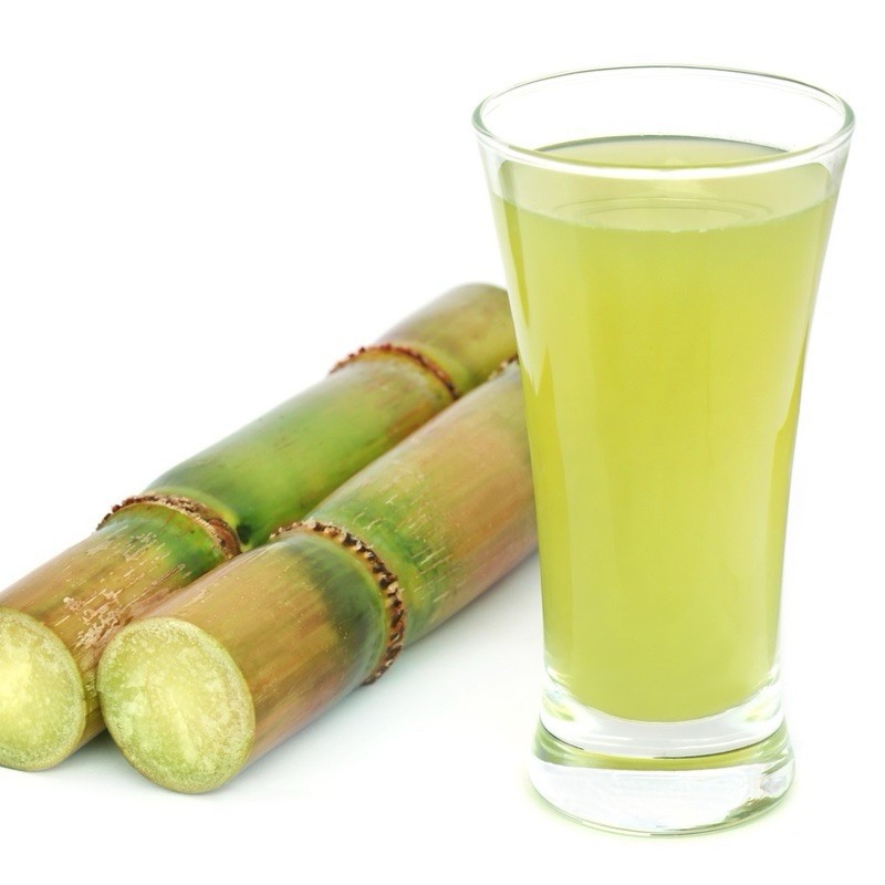 5pcs Rooted Green Yellow Sugarcane Cutting Tropical Live Plant Ready To Plant
