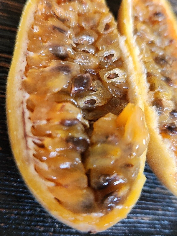 Rare Healthy 2 Bannana Passion Fruit Plants Vines Fast Growing Fruit Within Year