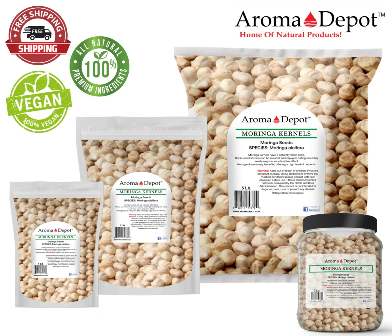 Moringa KERNEL Wholesale Granos de Semillas de Moringa oleifera Malunggay Seeds
