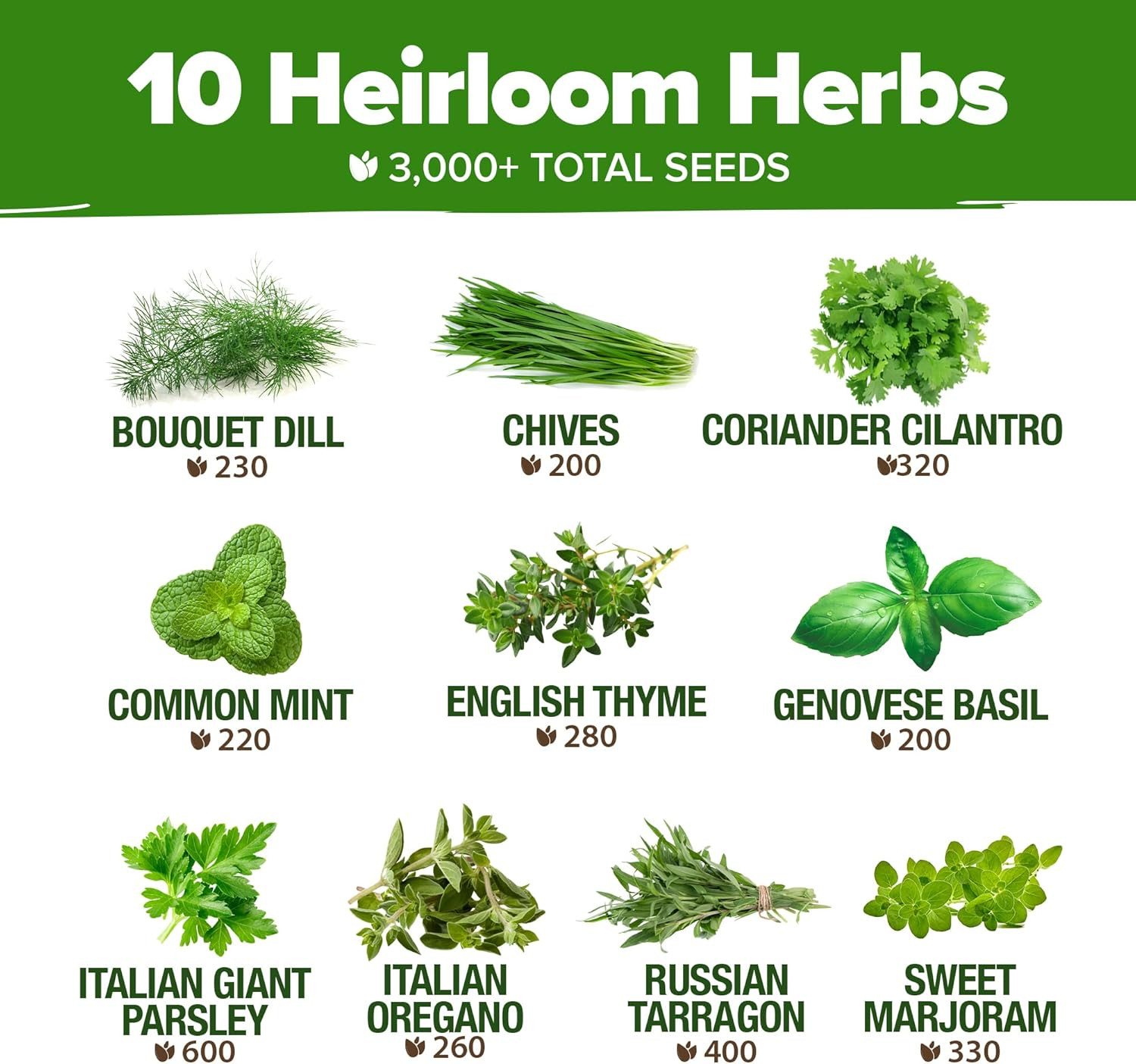 Heirloom Herb Seeds Variety Pack: 5100+ Seeds for Indoor & Outdoor Gardening