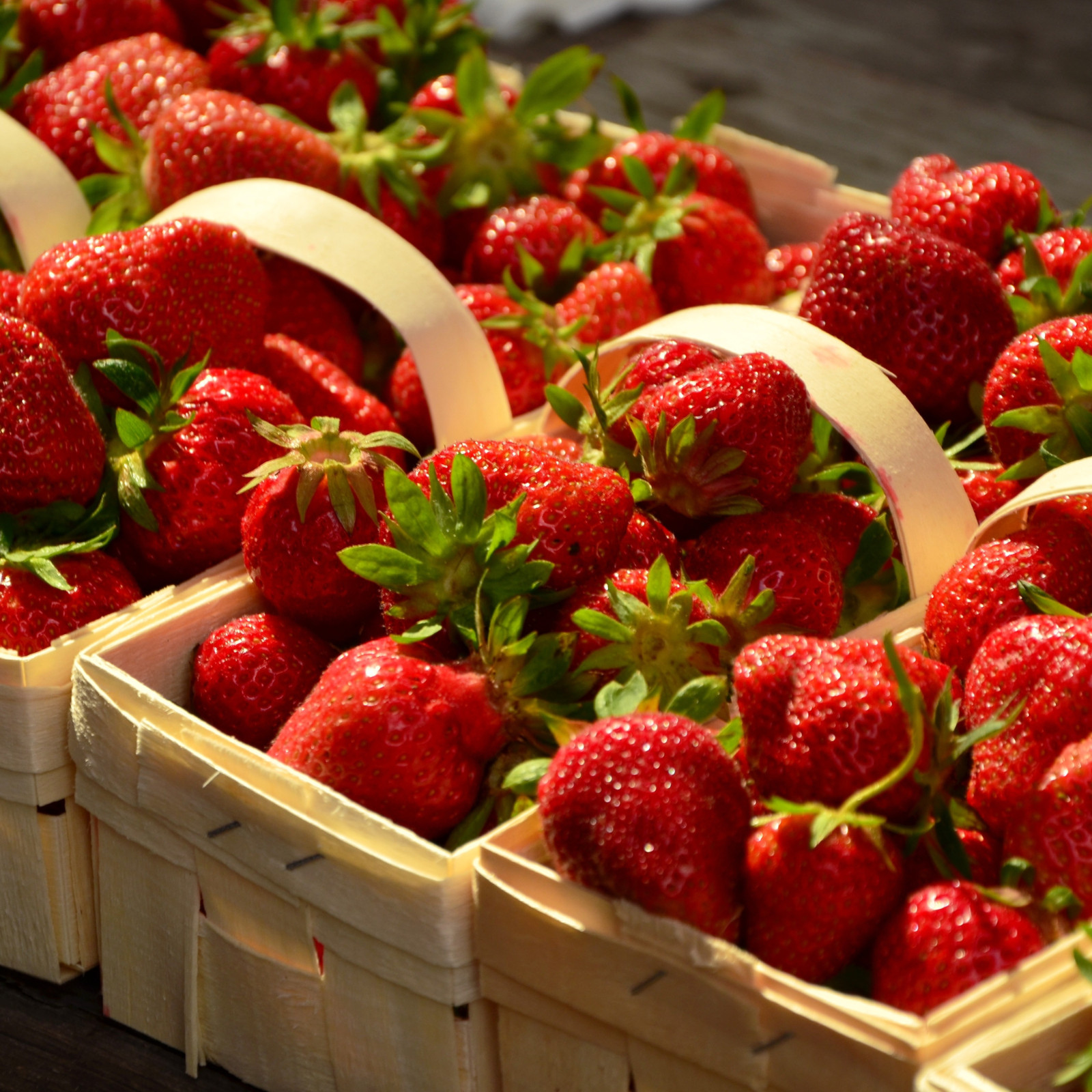 Ft. Laramie Everbearing 10 Live Strawberry Plants, NON GMO