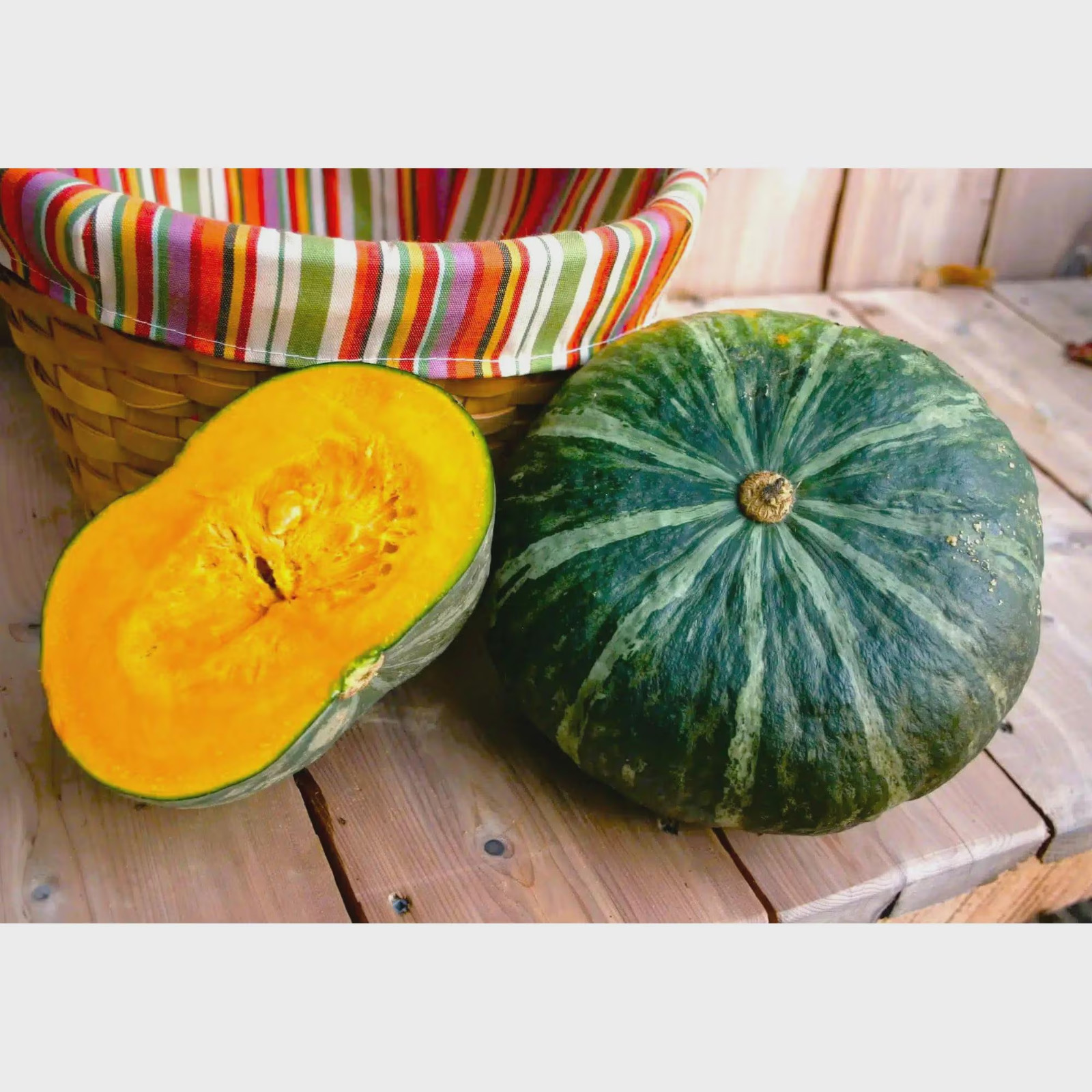 5 Pumpkin Seeds Japanese Pumpkin, Bengali Sweet Pumpkin, Indian Sweet Pumpkin