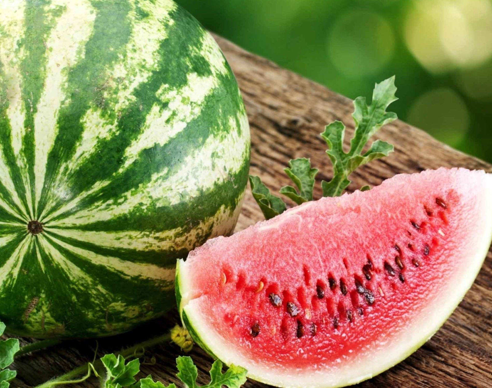 20 New Harvest of Quality Sweet Dixie Queen Watermelon Seeds-A 26