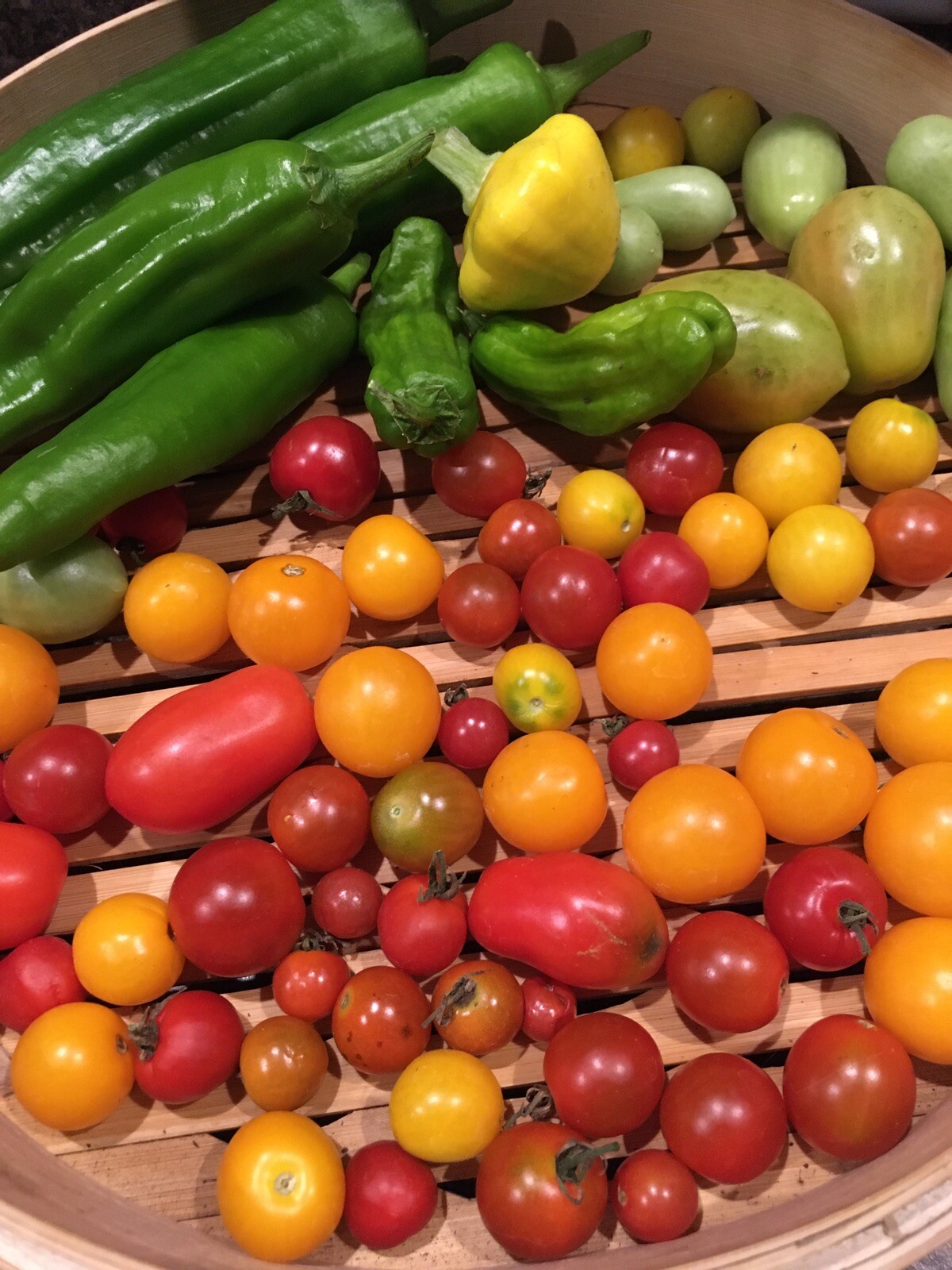 Survival Heirloom Seed Bank Vegetable Medicinal Fruit Herb Garden 50+ Varieties