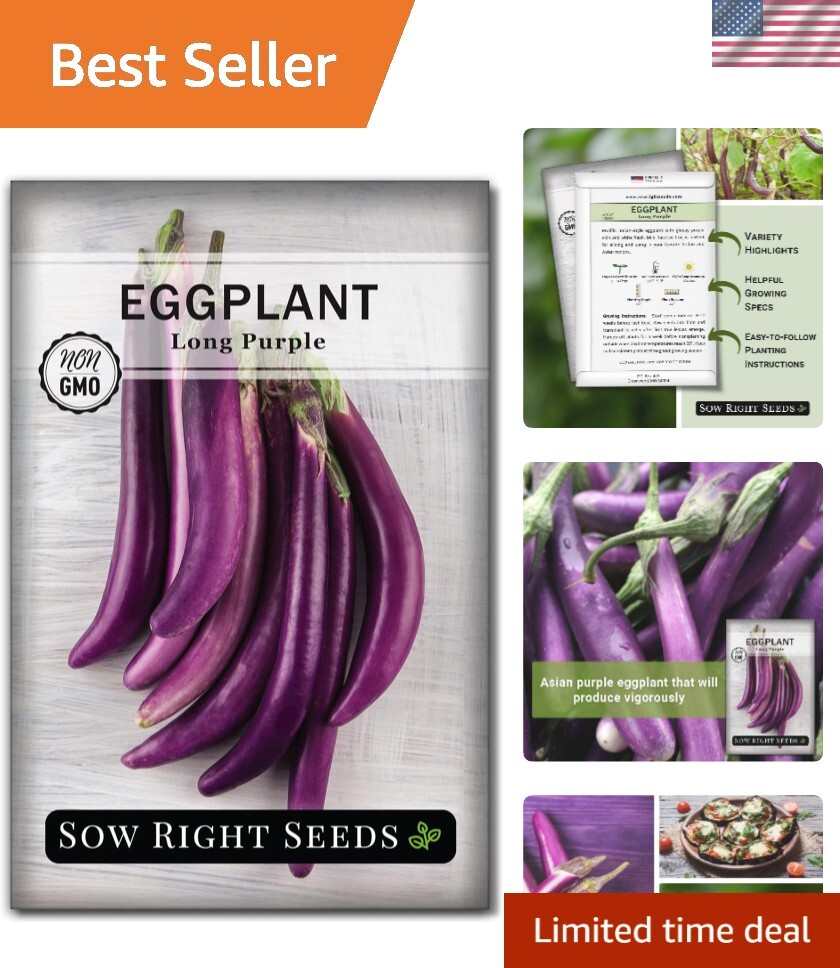 Long Purple Eggplant Seeds Non-GMO Heirloom 400mg Outdoor Vegetable Garden