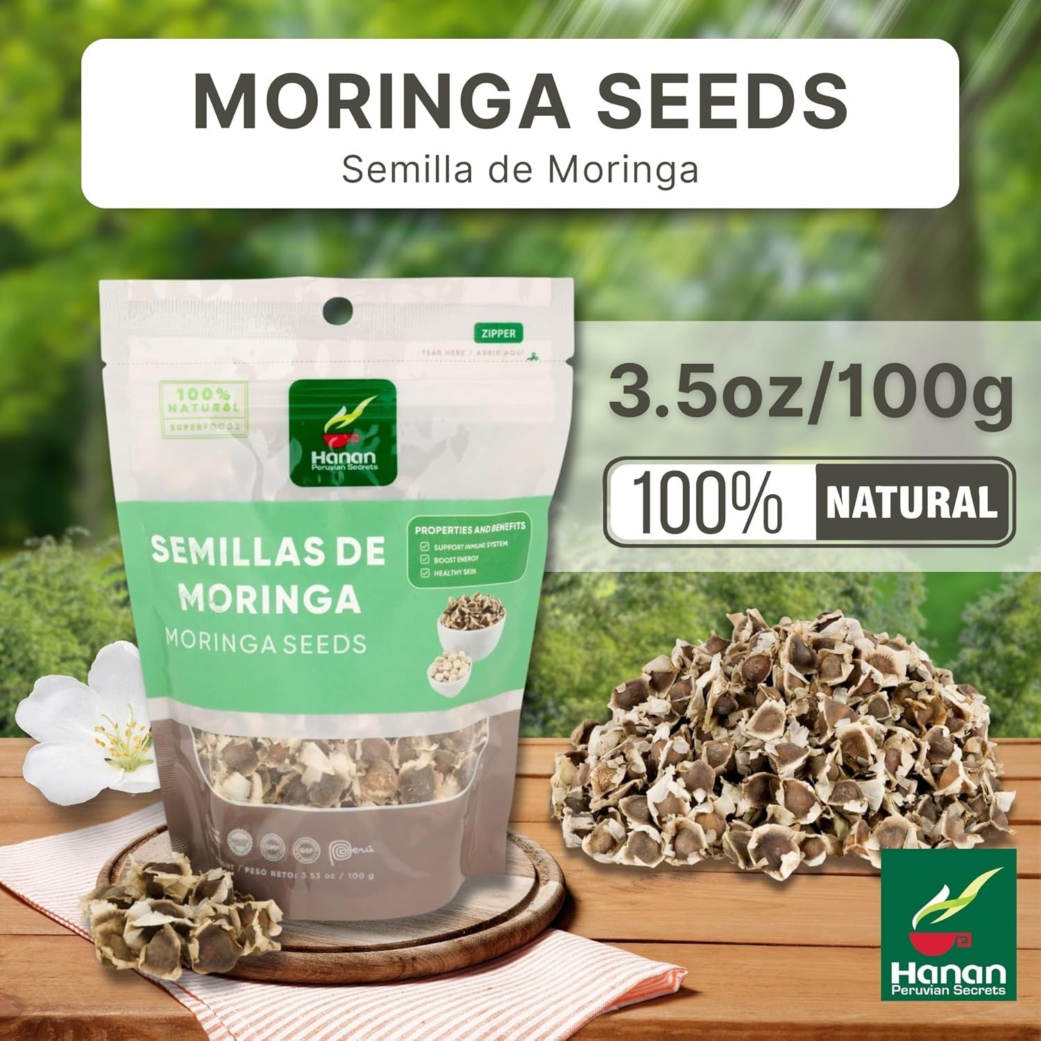 Moringa Seeds 3.5 oz – Raw Semilla de Moringa Oleifera Drumstick Tree Seeds 100g