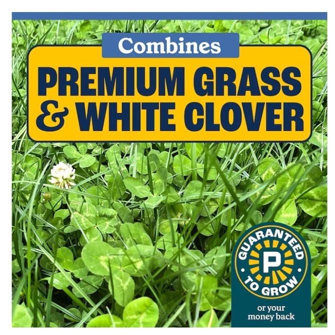 [FASH SALE] Pennington Clover Mixture Grass Seed 7 lb Bag Lawn Seed (2 Pack) NEW