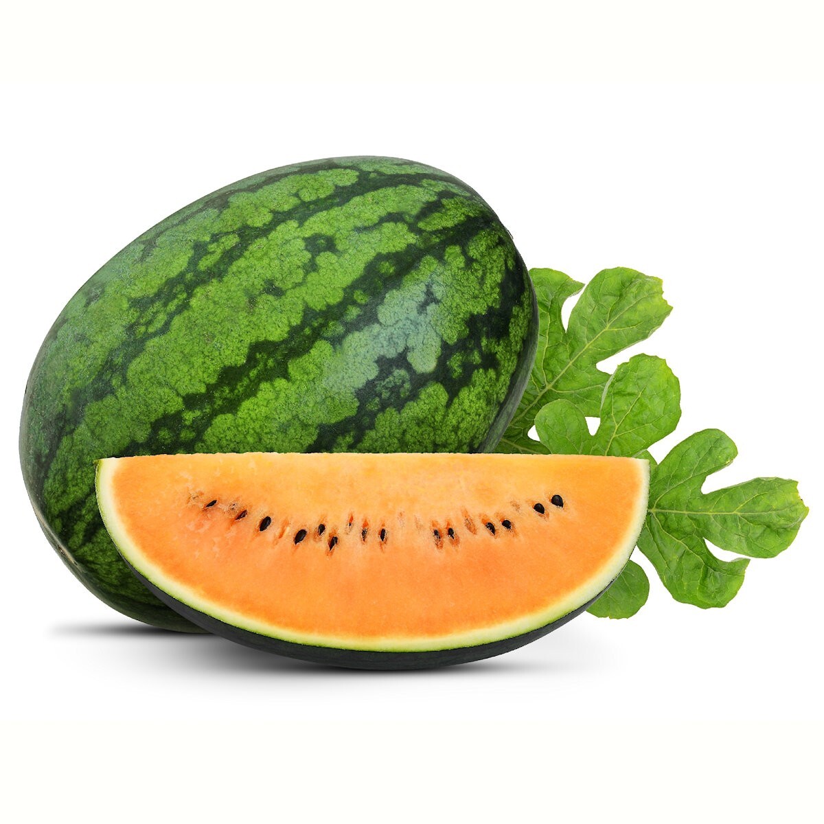 1/4 Lb Tendersweet Orange Watermelon Seeds – Everwilde Farms Mylar Seed Packet