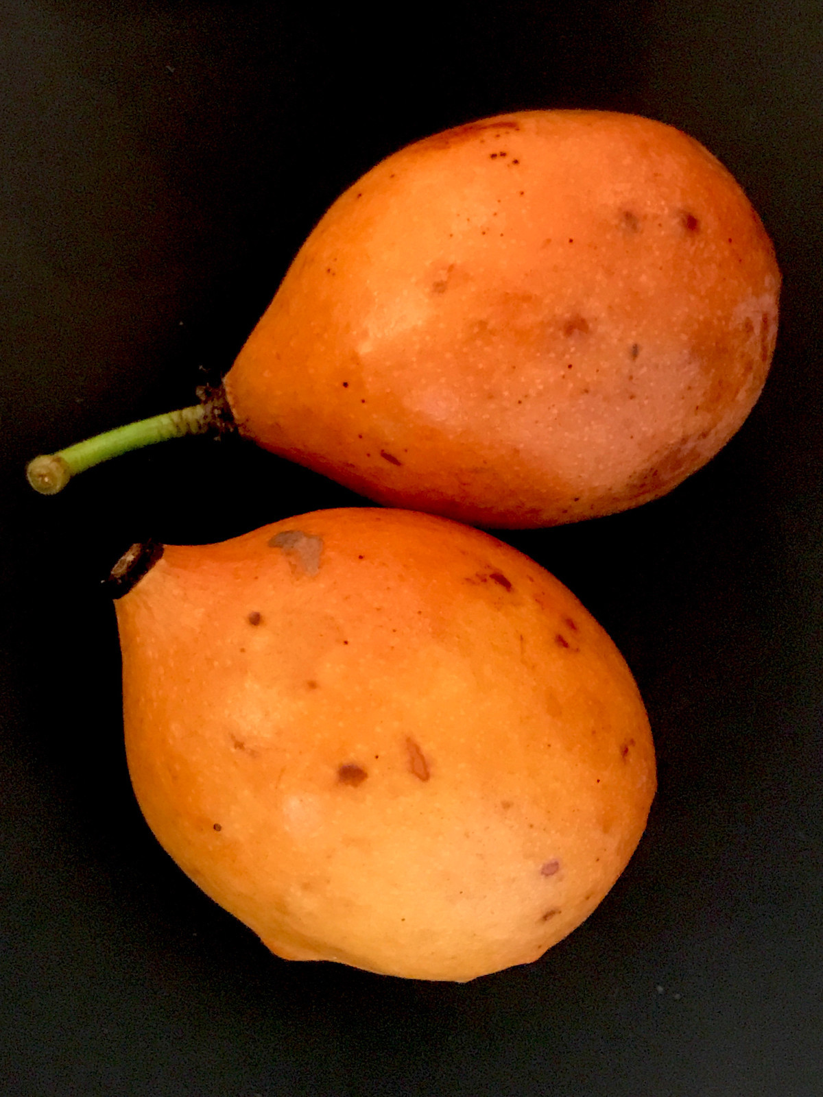 Achachairu Garcinia Humilis Orange Bolivian Mangosteen Tropical Fruit Tree Plant