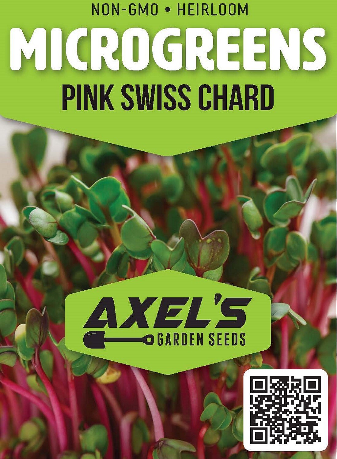 Pink Swiss Chard MICROGREEN Seeds | Heirloom | Non-GMO | Seeds for Sprouting
