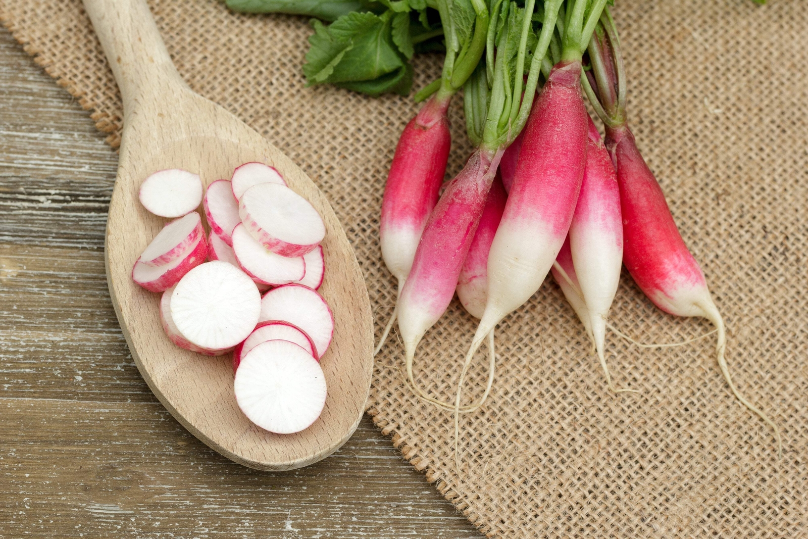 750 FRENCH BREAKFAST RADISH Raphanus Sativus Vegetable Seeds
