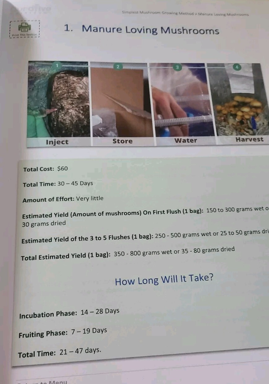 Curative Mushrooms Growing Medicinal Mushrooms At Home In 30 Days