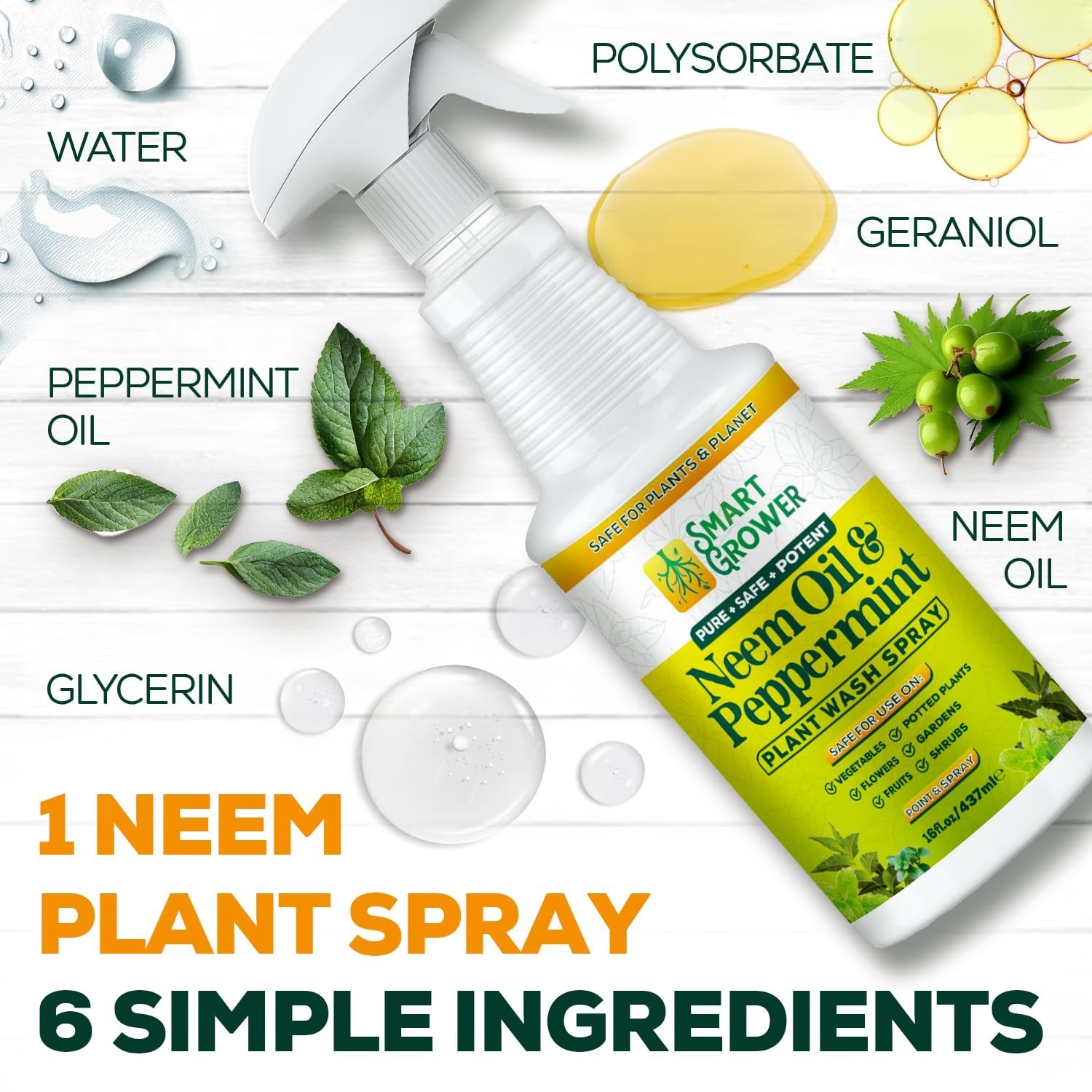 Neem Oil Spray for Plants with Peppermint Oil, Natural Plant Wash Made for In…