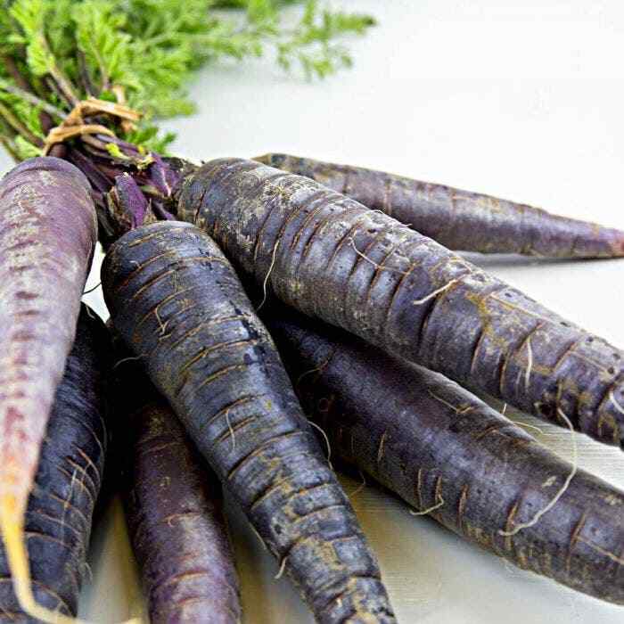 Black Nebula Carrot Seeds 150+ Daucus Carota Vegetable NON-GMO USA FREE SHIPPING