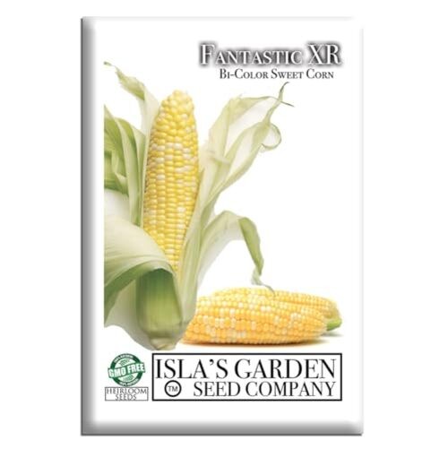 Fantastic XR Bi-Color Sweet Corn Seeds (Zea mays) – 50+ Non-GMO & Heirloom