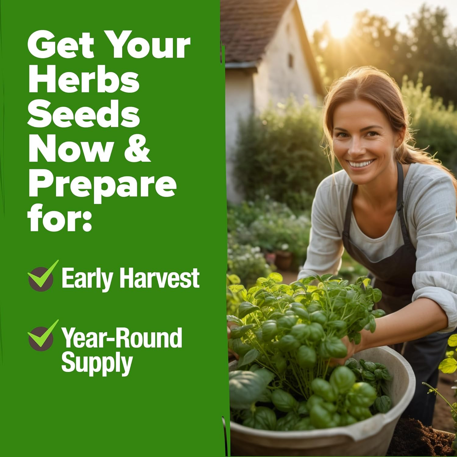 Heirloom Herb Seeds Variety Pack: 5100+ Seeds for Indoor & Outdoor Gardening