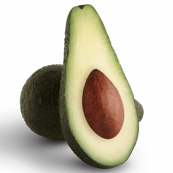 Pinkerton Avocado Tree Seedling Broadleaf Green Live Plant in Pot