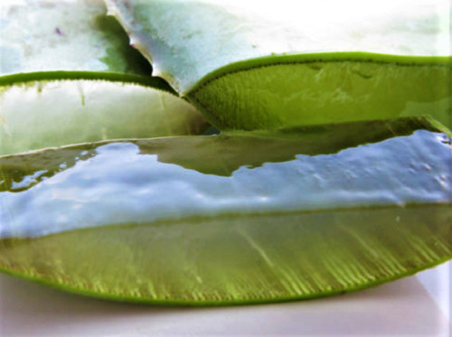 Aloe Vera Gel Barbadensis Organic Leaf, Edible Vitamins Minerals