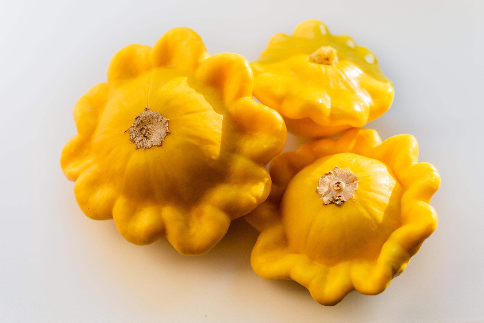 10 Golden YELLOW Bush SCALLOP SQUASH Patty Pan Cucurbita Pepo Vegetable Seeds